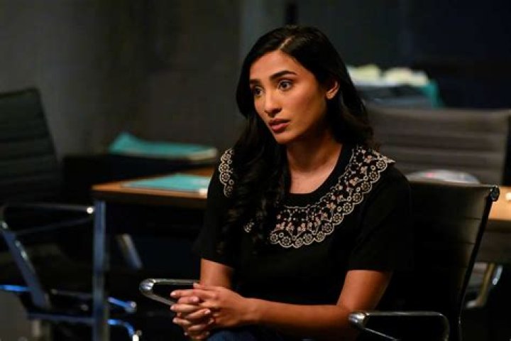 Samar Navabi's Fate Is Up in the Air Following Brain Injury on 'The Blacklist' |