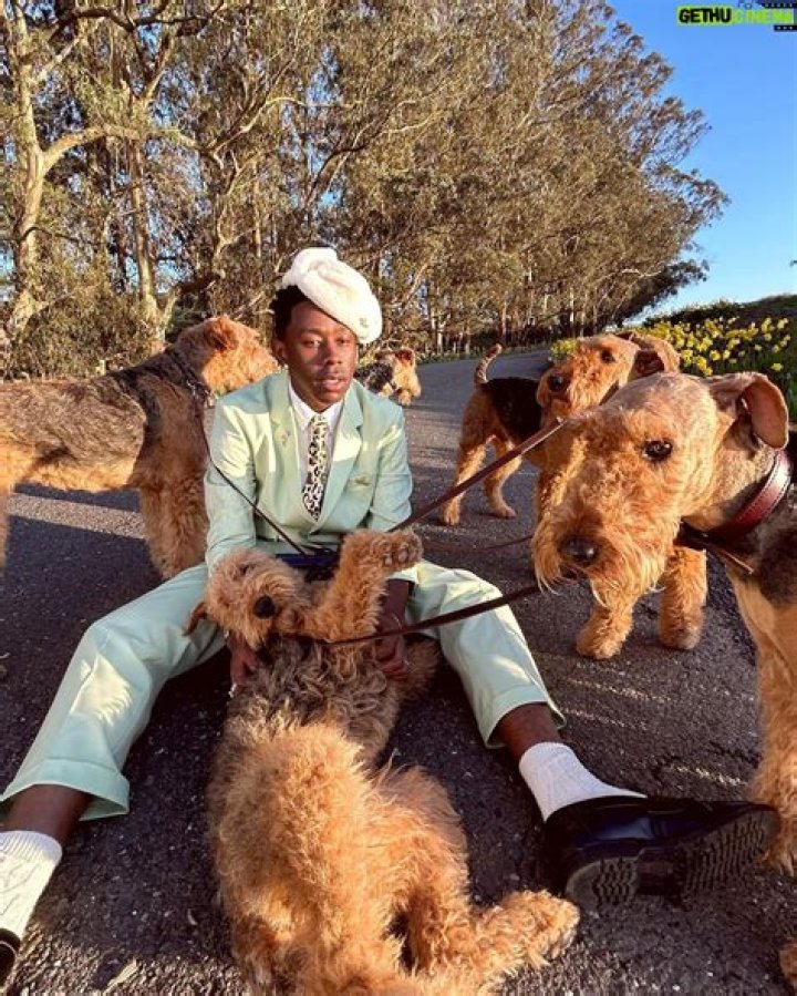 Tyler The Creator Wiki Bio, Net Worth, Girlfriend, Gay, Relationships, Family