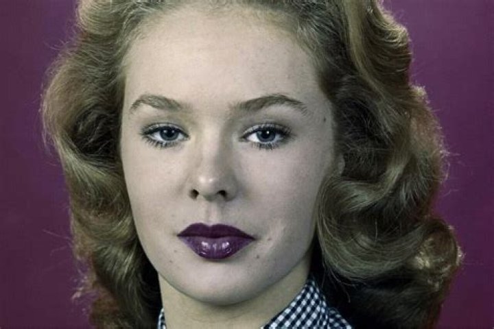 Unveiling Joey Heatherton's Captivating Legacy: Exploring Her Biography