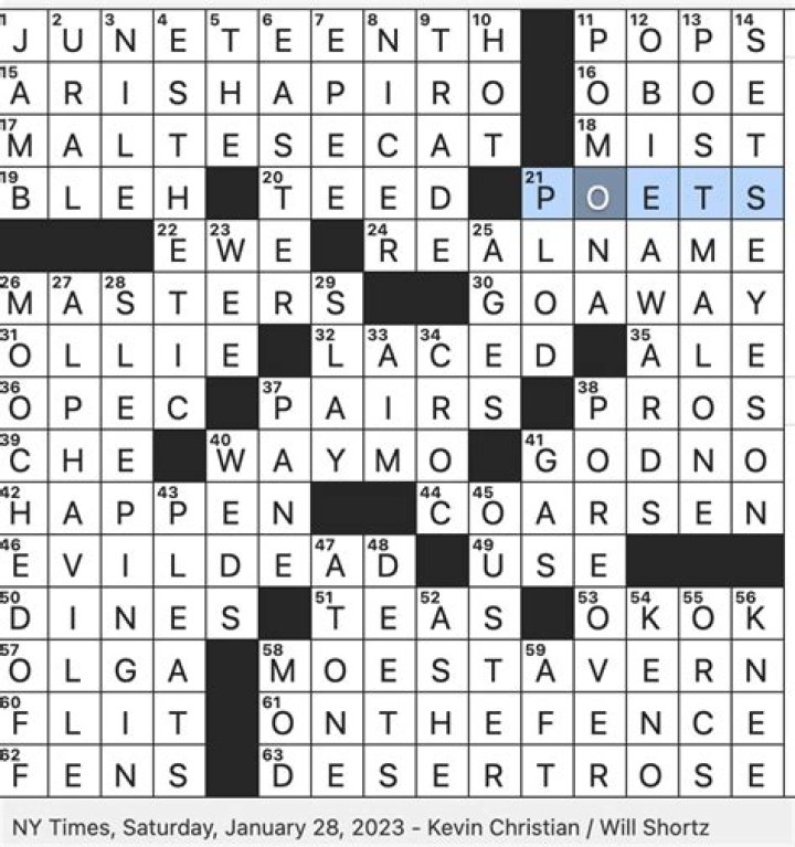 World, in French crossword clue NYT
